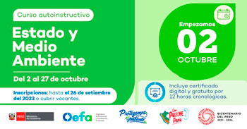  Curso online gratis con certificado "Estado y Medio Ambiente"