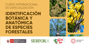 Curso Internacional de Especialización en Identificación Botánica y Anatómica de especies forestales maderables