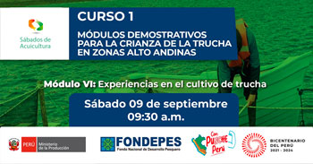 Curso online gratis "Módulos demostrativos para la crianza de la trucha en zonas alto andinas" de FONDEPES