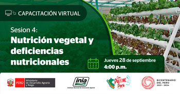 Curso online "Nutrición vegetal y deficiencias nutricionales" del INIA