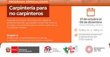 Cursos presenciales "Programa de Carpintería para no carpintero"