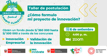 Taller de Postulación Concursos Innovación Empresarial y Validación de la Innovación  con enfoque en cambio climático