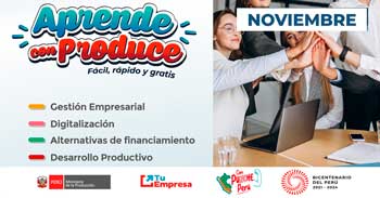 Cursos online gratis para MYPES del Ministerio de Producción: "Aprende con Produce"