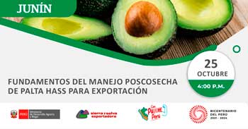 Seminario online sobre "Fundamentos del manejo Poscosecha de Palta Hass para exportación"