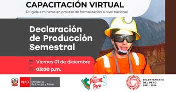 Capacitación online "Declaración de Producción Semestral" del MINEM