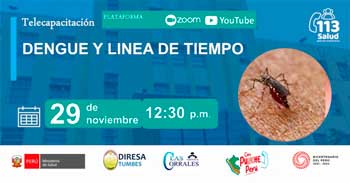 Capacitación online "Dengue y linea de tiempo" del MINSA
