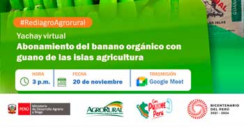 Charla virtual "Manejo del cultivo de maíz morado en la Asociación de Productores MELO - Ancash" de Agro Rural