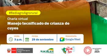 Charla online "Manejo tecnificado de crianza de cuyes" de Agro Rural