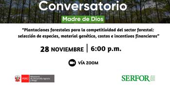 Conversatorio plantaciones Forestales del sector forestal: selección de especies, material genético, costos e incentivos