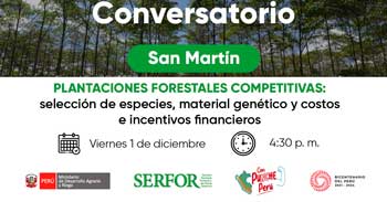 Conversatorio online "Plantaciones Forestales Competitivas"  del SERFOR