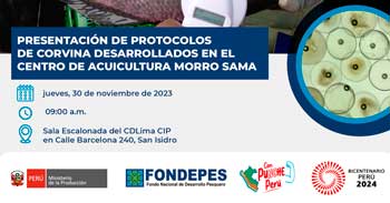 Presentación de protocolos de corvina desarrollados en el centro de acuicultura morro sama 
