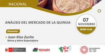 Seminario online gratis "Análisis del mercado de la quinua" de Sierra y Selva Exportadora