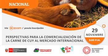 Seminario online gratis Perspectivas para la comercialización de la carne de cuy al mercado internacional