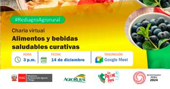 Charla online "Alimentos y bebidas saludables curativas" de Agro Rural