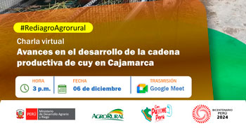 Charla online "Avances en el desarrollo de la cadena productiva de la crianza de cuy en Cajamarca"