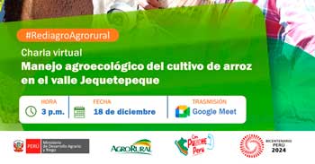 Charla online "Manejo agroecológico del cultivo de arroz en el valle Jequetepeque" de Agro Rural