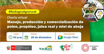 Charla online Manejo, producción y comercialización de polen, propóleo, jalea real y miel de abejade Agro Rural