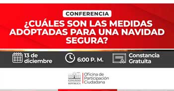 Conferencia presencial "¿Cuáles son las medidas adoptadas para una navidad segura?" 