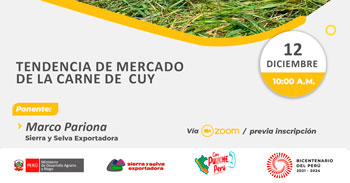  Seminario online gratis "Tendencia de mercado de la carne de cuy" de Sierra y Selva Exportadora