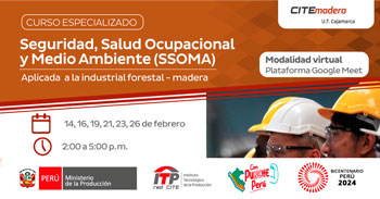 Curso online gratis "Curso Especializado:  Seguridad, Salud Ocupacional y Medio Ambiente (SSOMA)" 
