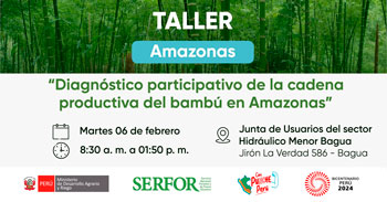 Taller presencial "Diagnóstico participativo de la cadena productiva del bambú en Amazonas" de Serfor Perú