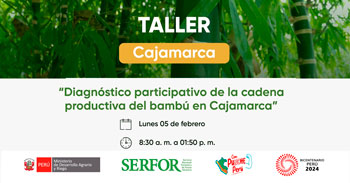 Taller presencial gratis Diagnóstico participativo de la cadena productiva del bambú en Cajamarca de Serfor Perú