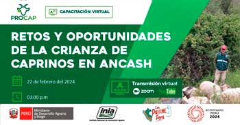 Capacitación online "Retos y oportunidades de la crianza de caprinos en Ancash" del INIA
