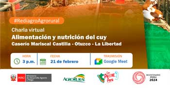Charla online "Alimentación y nutrición del cuy" Agro Rural