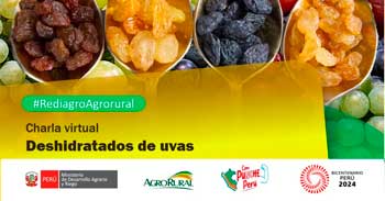 Charla online "Deshidratados de uvas" Agro Rural