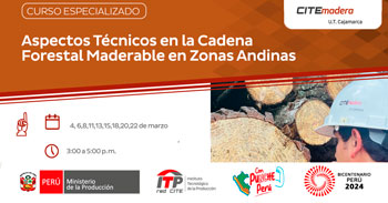 Curso online "Aspectos Técnicos en la Cadena Forestal Maderable en Zonas Andinas"  del ITP
