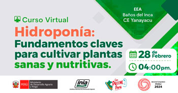 Curso online "Hidroponía: Fundamentos claves para cultivar plantas sanas y nutritivas"  del INIA