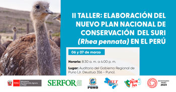 Taller presencial Elaboración del nuevo plan nacional de conservación del suri (rhea pennata) en el Perú de Serfor Perú