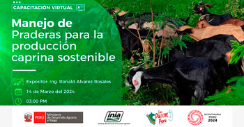 Capacitación online "Manejo de praderas para la producción caprina sostenible" del INIA