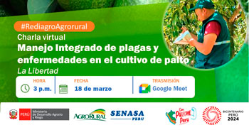 Charla online "Manejo Integrado de plagas y enfermedades en el cultivo de palto" Agro Rural
