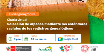 Charla online "Selección de alpacas mediante los estándares raciales de los registros genealógicos" Agro Rural