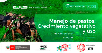 Capacitación online "Manejo de pastos, crecimiento vegetativo y uso" del INIA