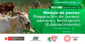 Capacitación online Manejo de pastos: preparación de terreno, siembra y fertilización (establecimiento) del INIA