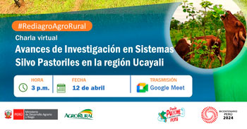 Charla online "Avances de Investigación en Sistemas Silvo Pastoriles en la región Ucayali" de Agro rural
