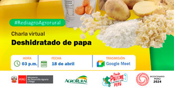  Charla online "Deshidratado de papa" de Agro rural