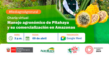Charla online "Manejo agronómico de Pitahaya y su comercialización" de Agro rural
