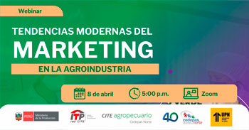  Webinar online "Tendencias modernas del marketing en la agroindustria" del ITP
