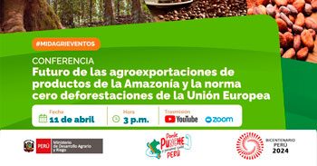 Conferencia online Futuro de las agroexportaciones de productos de la Amazonía y la norma cero deforestaciones