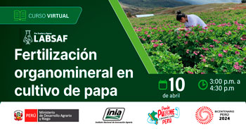 Curso online "Fertilización organomineral en cultivo de papa" del INIA