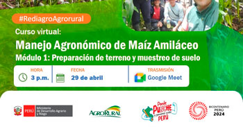  Curso online gratis  Manejo Agronómico de Maíz Amilaceo ( módulo 1: Preparación de terreno y muestreo de suelo)