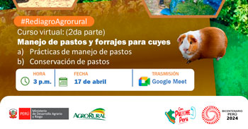 Curso online gratis  "Manejo agronómico de pastos y forrajes en alimentación de cuyes" de Agro rural