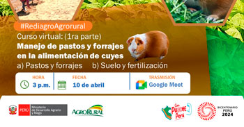  Curso online gratis  "Manejo agronómico de pastos y forrajes en alimentación de cuyes" de Agro rural
