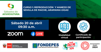  Curso online gratis "Reproducción y Manejo de Semilla de Paiche (Arapaima Gigas)" de FONDEPES