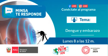 Evento online gratis  "Dengue y embarazo" del  Ministerio de Salud - MINSA