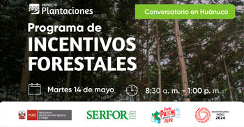  Conversatorio Presencial "Programa de incentivos forestales" del SERFOR