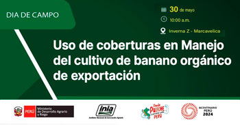  Curso presencial "Uso de coberturas en Manejo de Cultivo de banano orgánico de exportación" del INIA